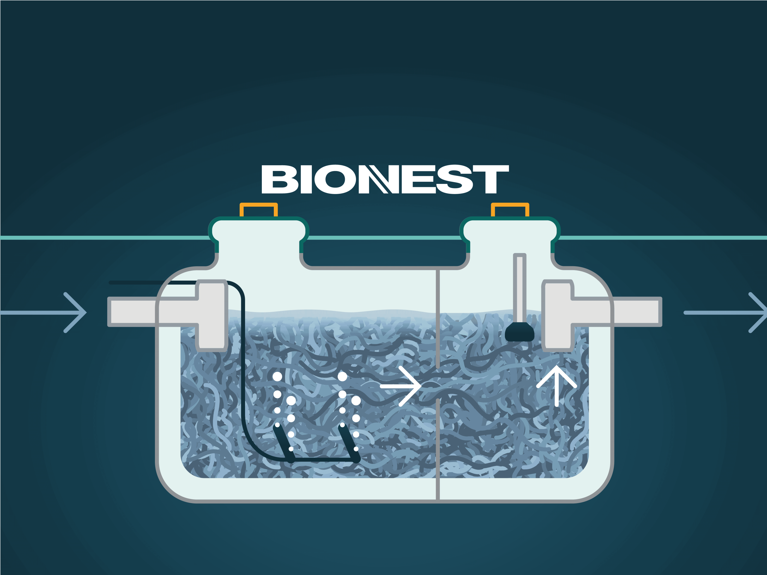 Bionest